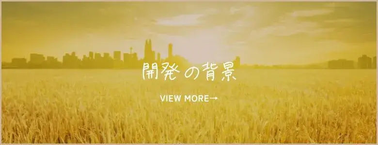 開発の背景