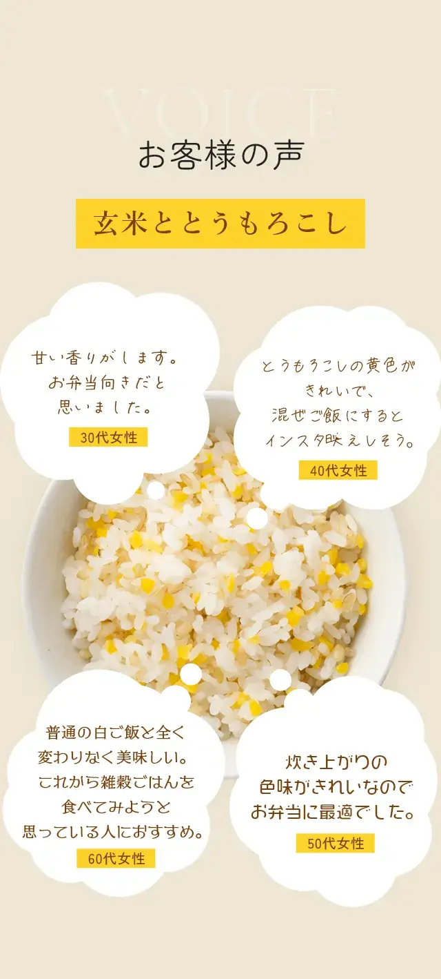玄米ととうもろこし